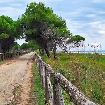 Beachfront Flat With View *